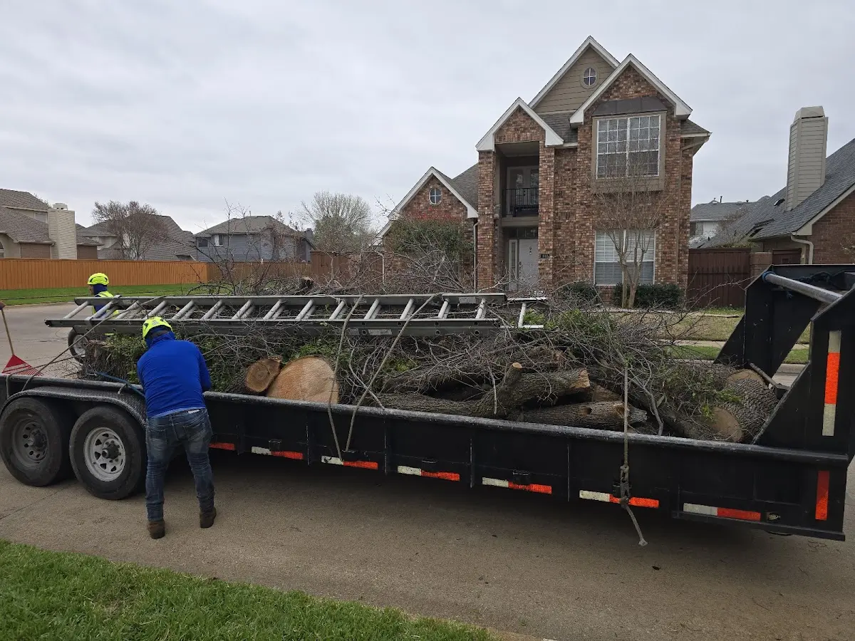 Expert Crown Reduction with proper safety equipment in Sugar Grove